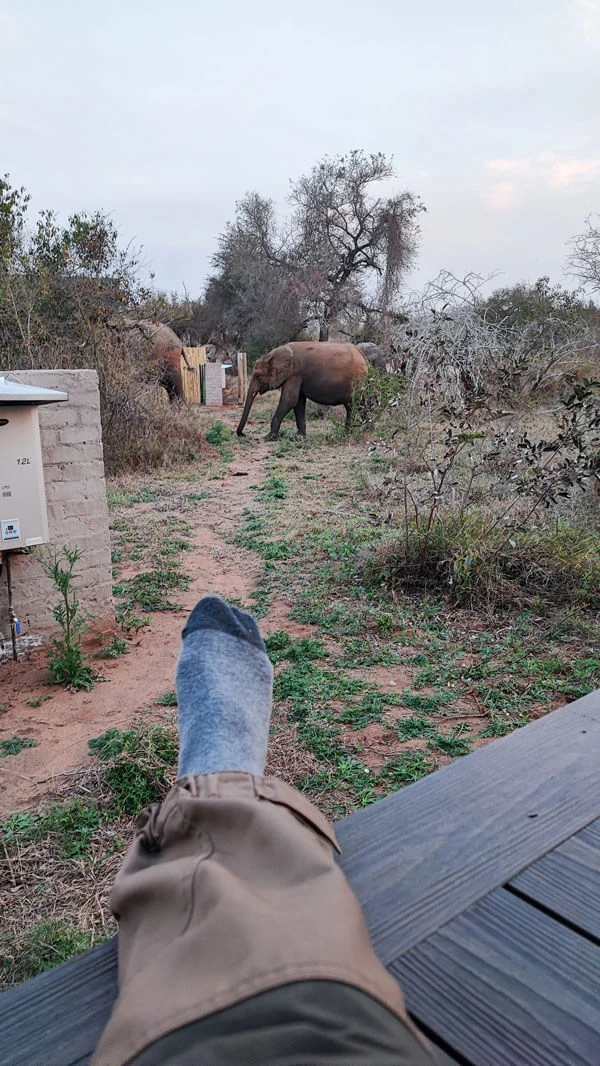 Nkuhlu Tented Camp: van kinderziektes naar een onvergetelijk verblijf, foto 2